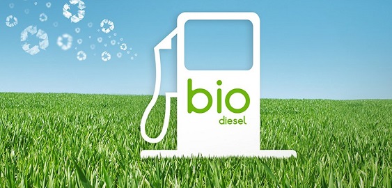 Biofuel & Bio Diesel